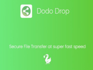 dodo drop