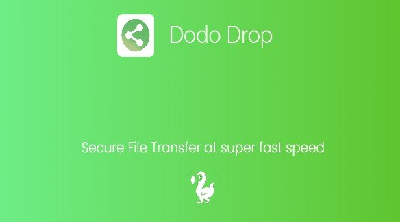 dodo drop