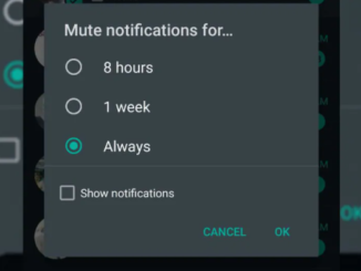 mute notification always