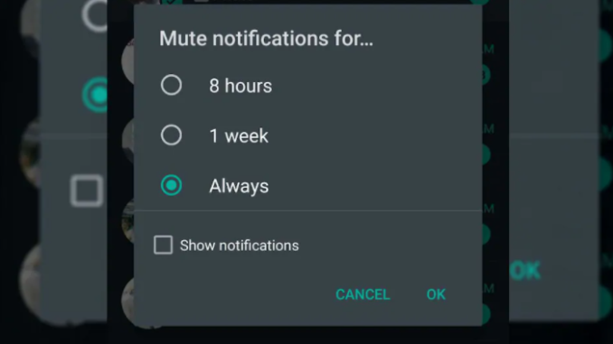 mute notification always